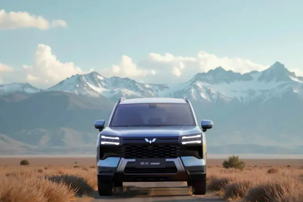 1月销量同比增近24%，自主品牌占比超65%，15VIP太阳集团赢在哪？